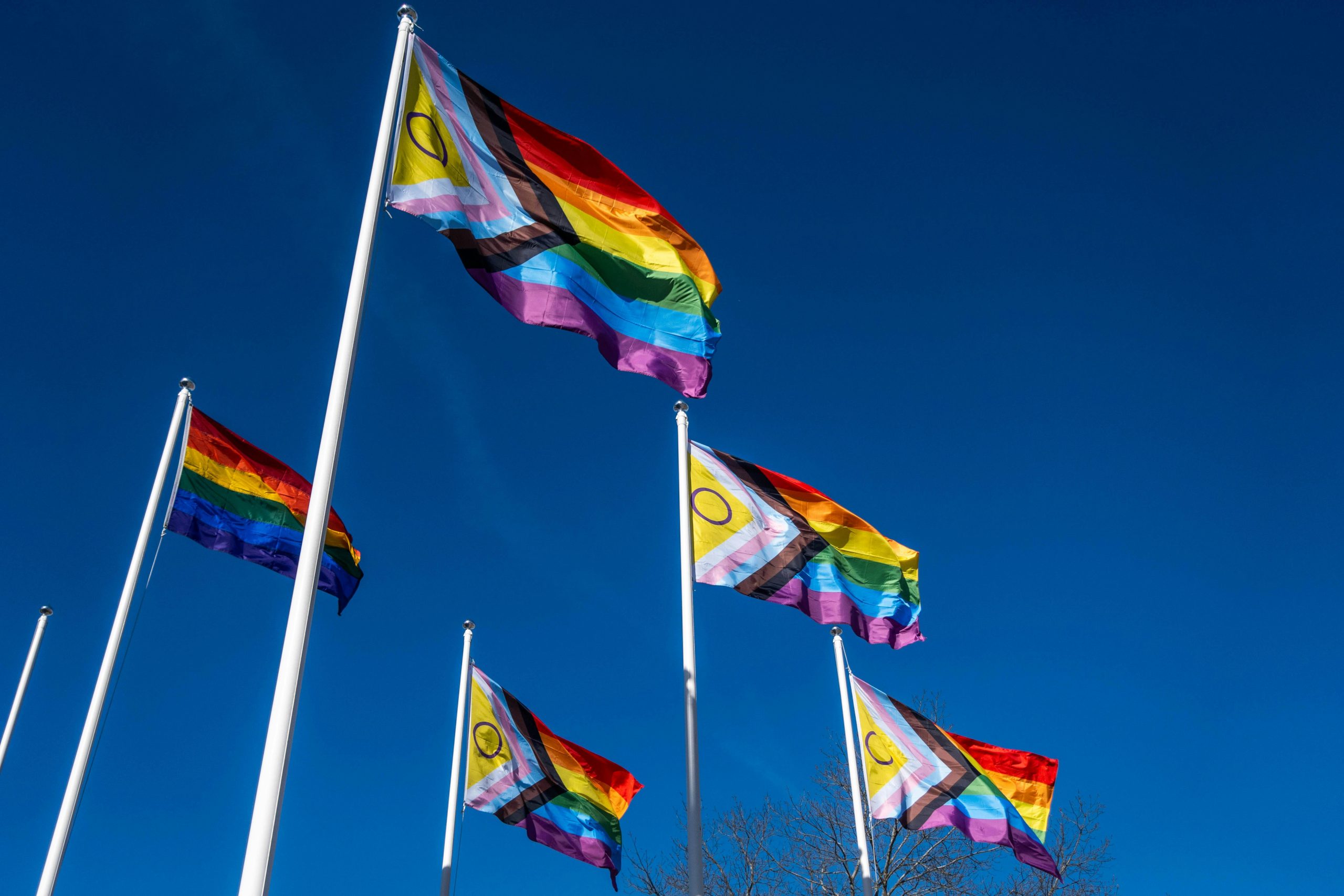 Multiple Pride and Progress flags flying against a bright blue sky in Tacoma